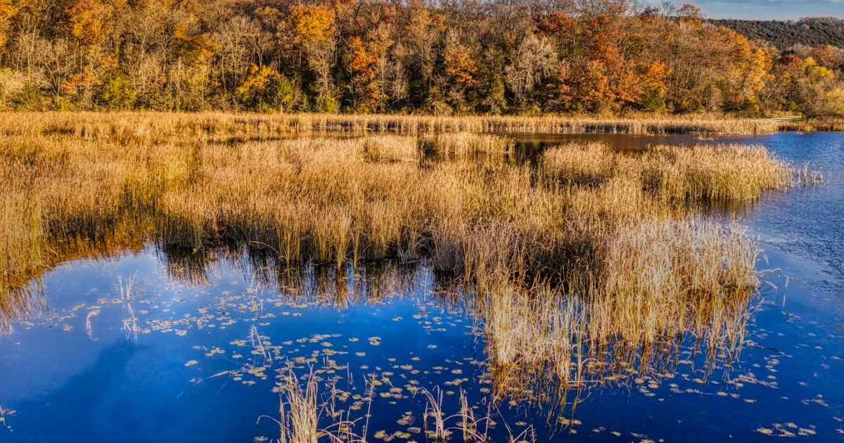 Downtown Rancocas Heights, NJ, NJ