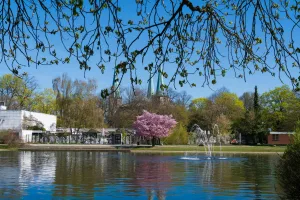 Downtown Ravenden Springs, AR, AR