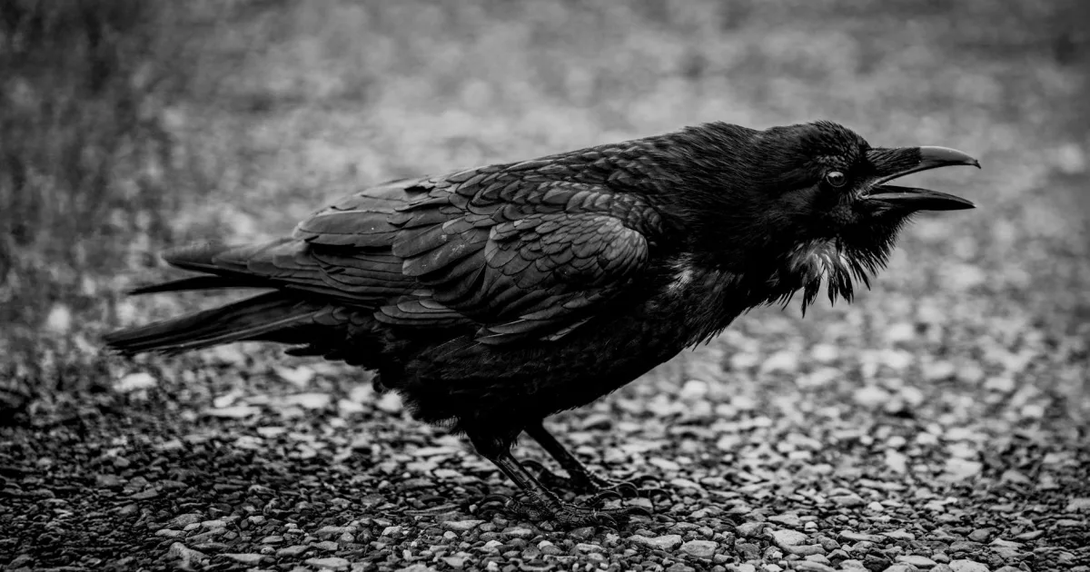 Downtown Ravenna, NE, NE