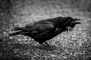 Downtown Ravenna, NE, NE