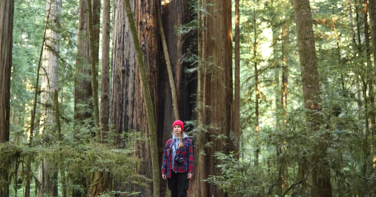 Downtown Redwood, OR, OR