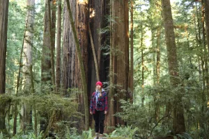 Downtown Redwood, OR, OR