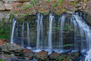 Downtown Rib Falls, WI, WI