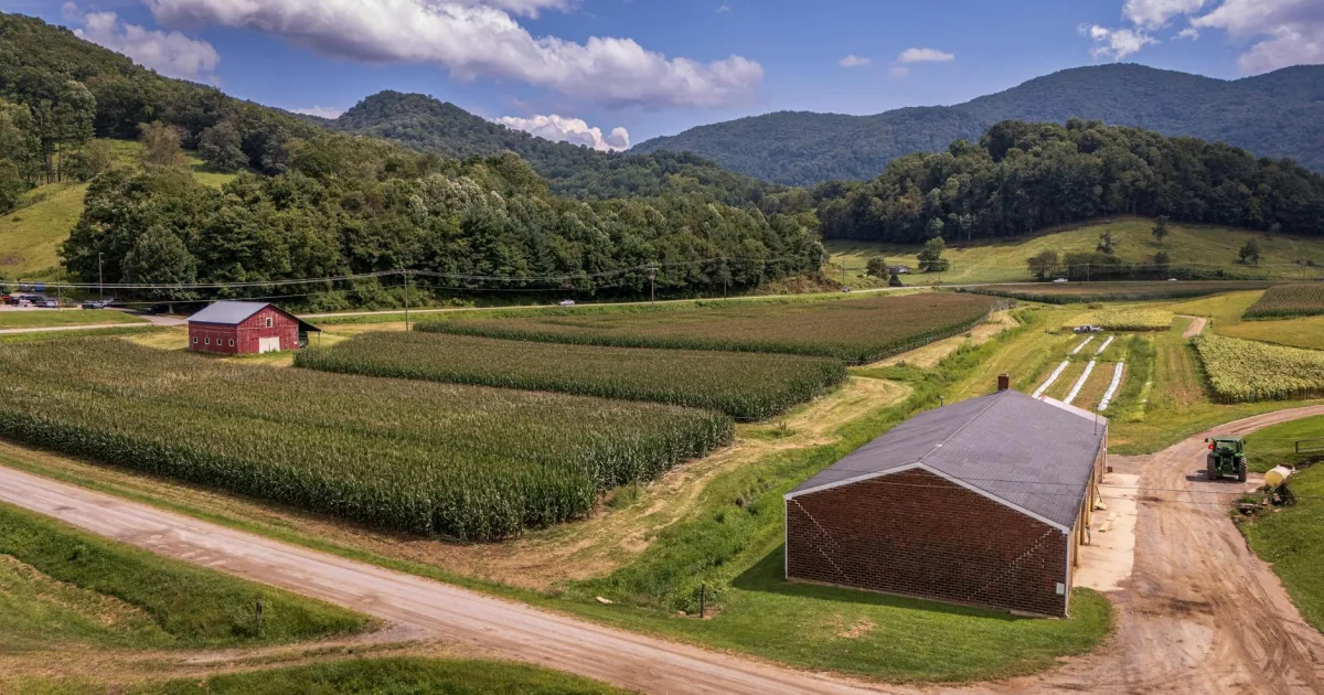 Downtown Ridge Farms, WV, WV