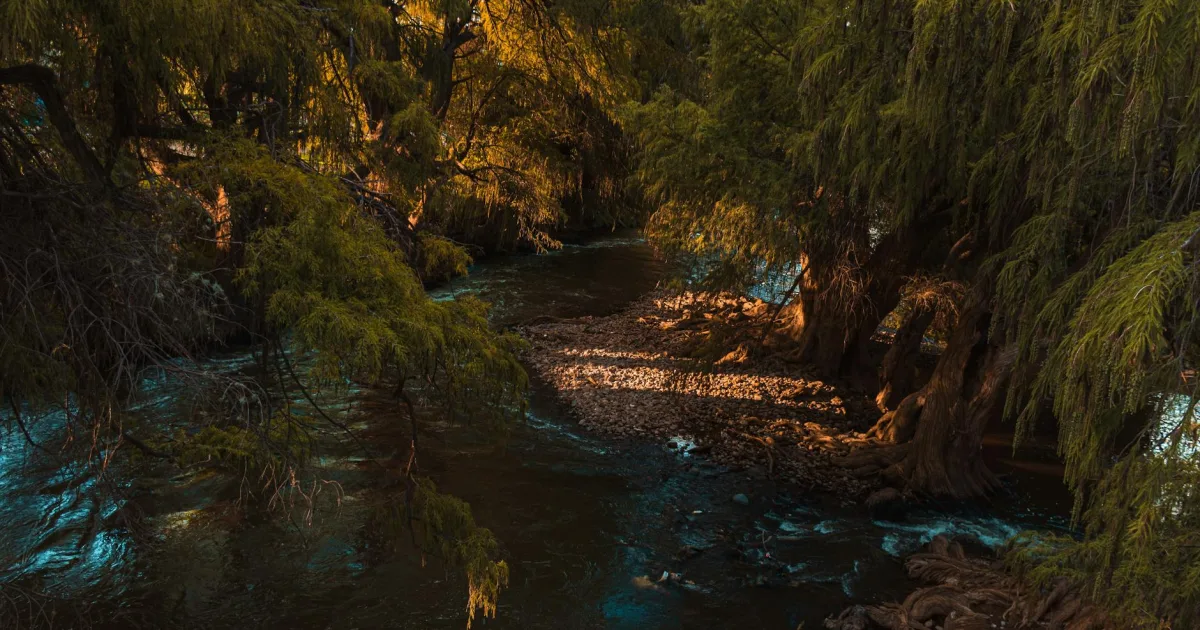 Downtown Rio Hondo, TX, TX