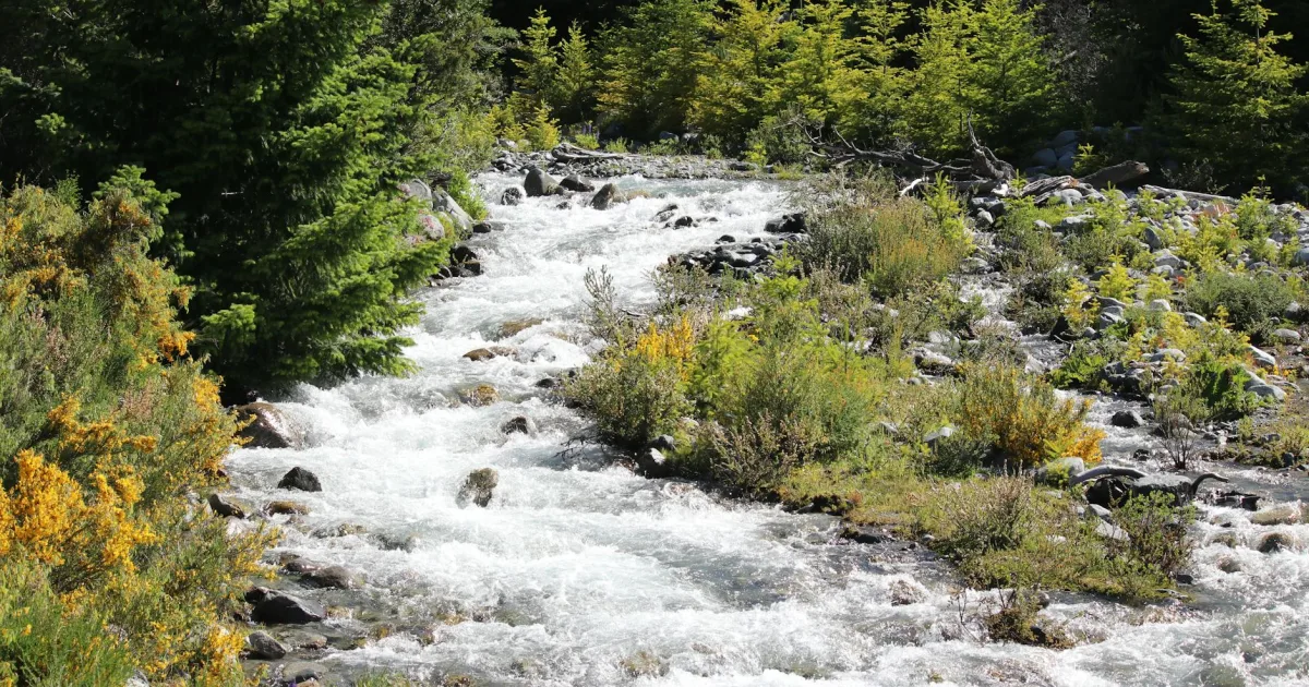 Downtown Rio Linda, CA, CA