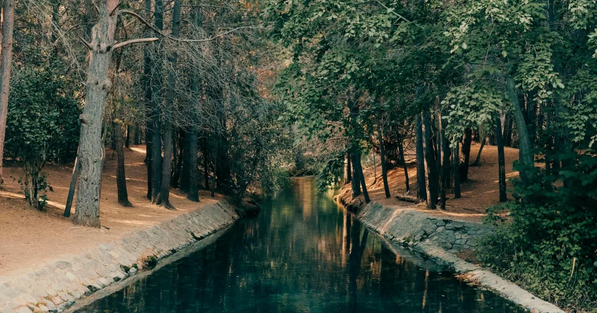 Downtown Rio Verde, AZ, AZ