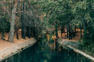 Downtown Rio Verde, AZ, AZ