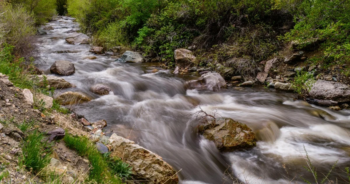 Downtown River Heights, UT, UT