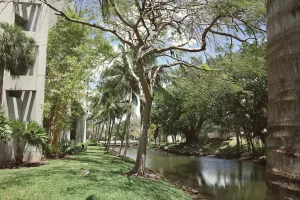 Downtown River Park, FL, FL