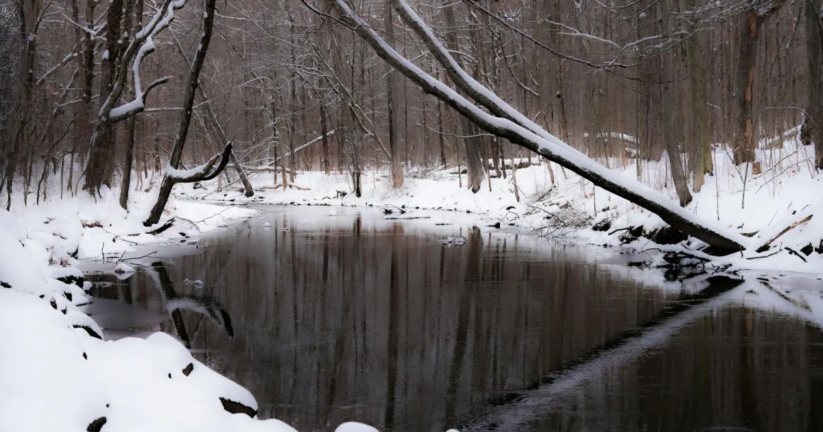 Downtown River Vale, NJ, NJ