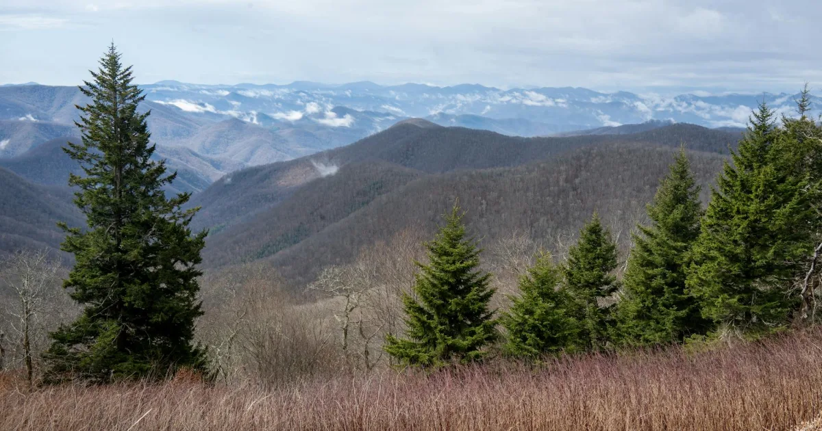 Downtown Roan Mountain, TN, TN