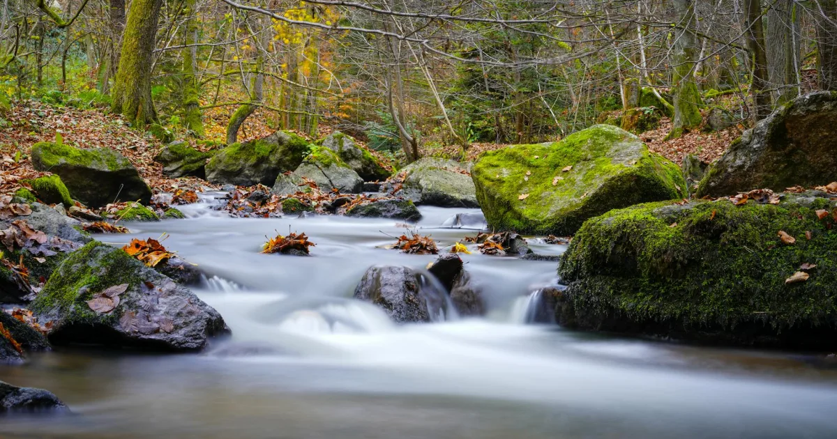 Downtown Roaring Brook, PA, PA