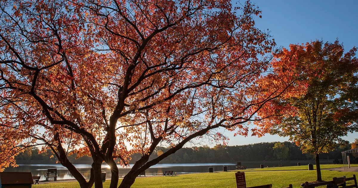 Downtown Rochester Hills, MI, MI