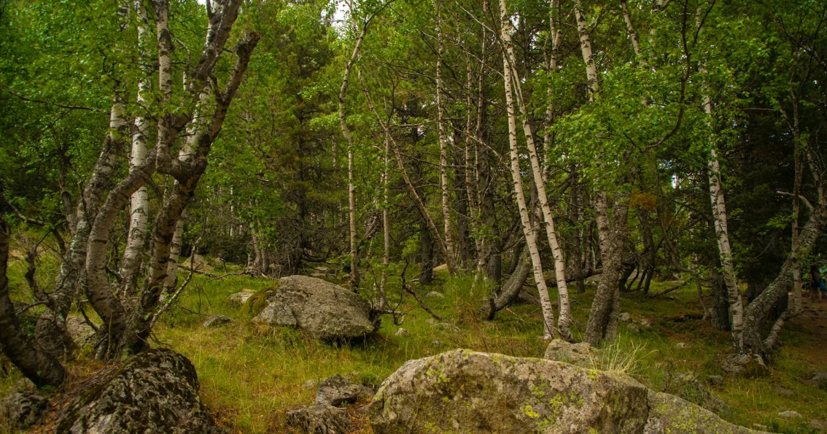 Downtown Rock Grove, IL, IL