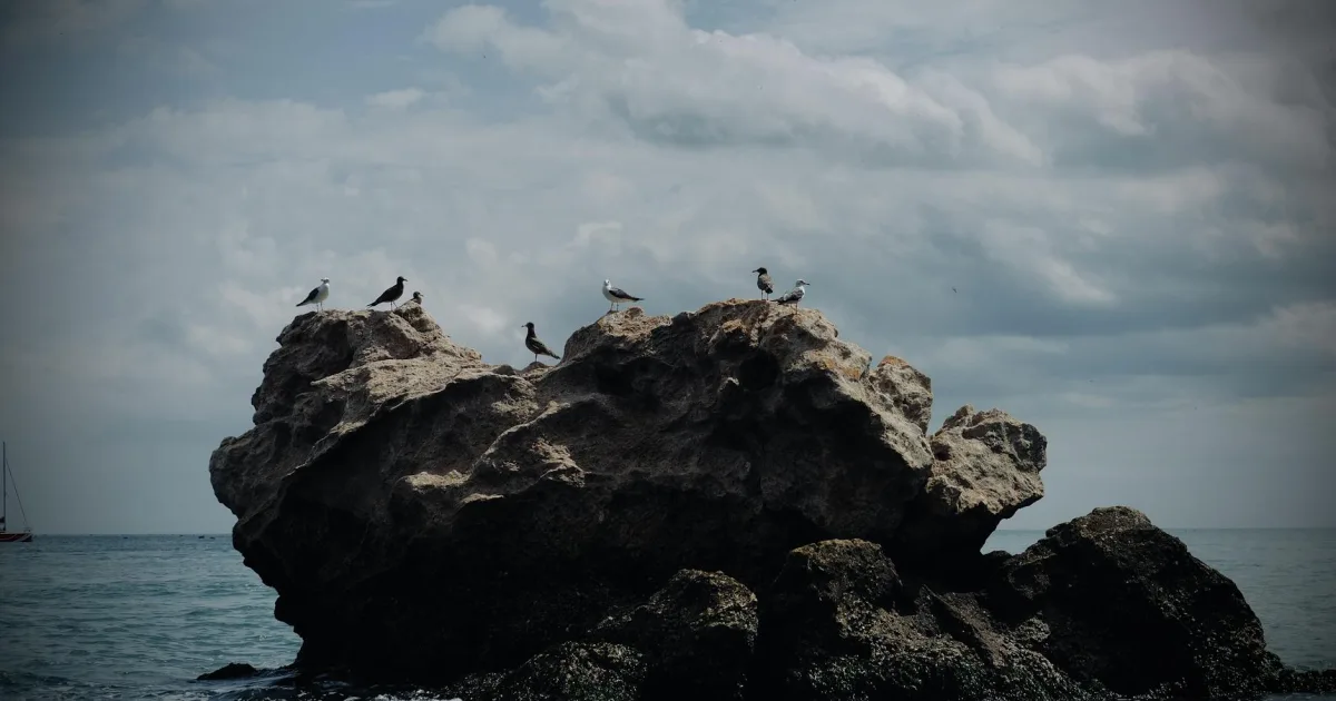 Downtown Rock Rest, NC, NC