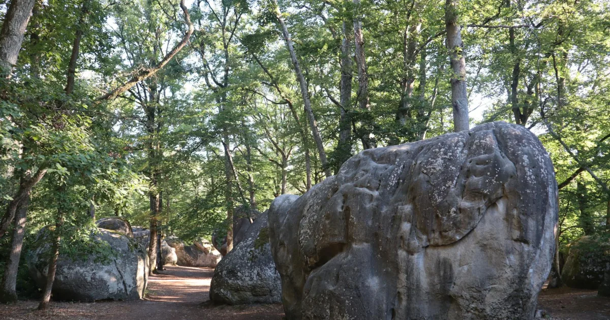 Downtown Rockdale, IL, IL