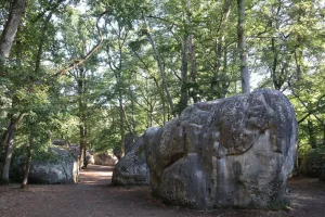 Downtown Rockdale, IL, IL