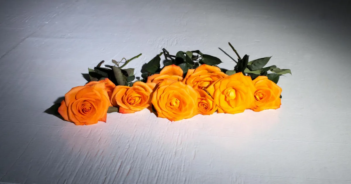 Downtown Rose Hill, VA, VA