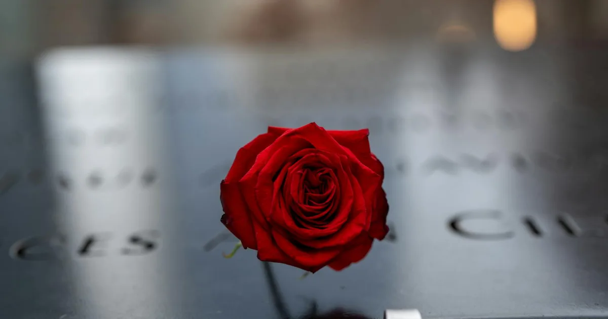 Downtown Rose, NY, NY