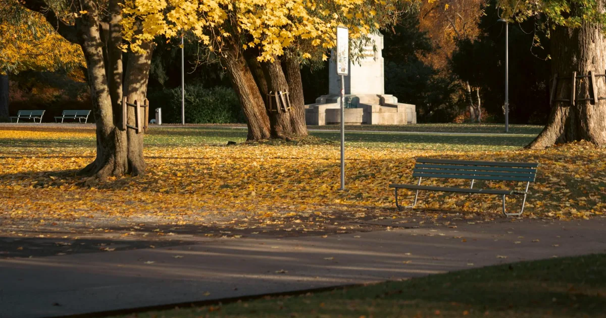 Downtown Roth Park, IN, IN