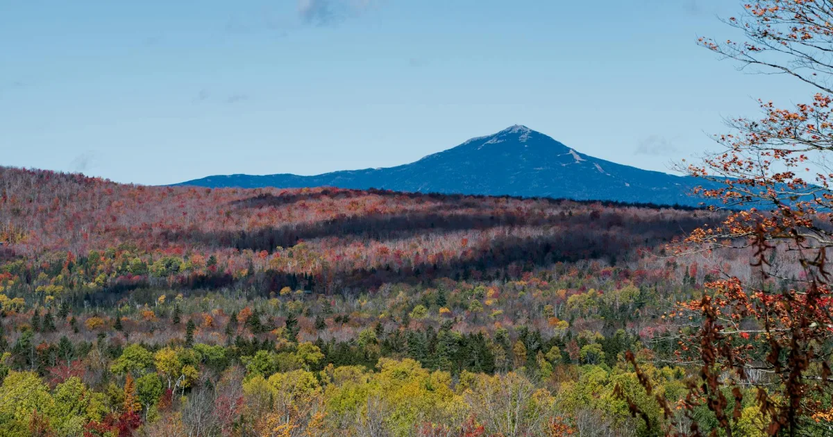 Downtown Roundup, MT, MT