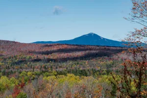 Downtown Roundup, MT, MT