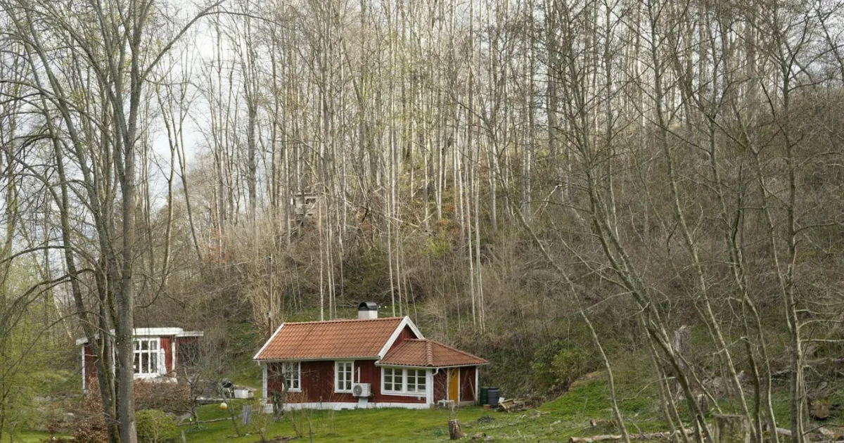 Downtown Rural Retreat, VA, VA