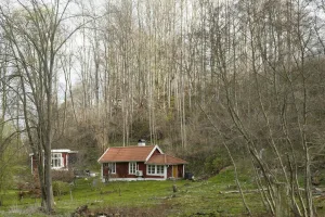 Downtown Rural Retreat, VA, VA