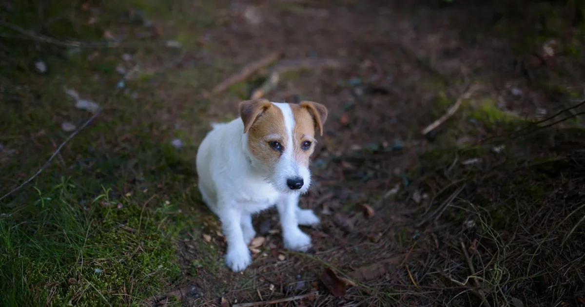 Downtown Russell, GA, GA