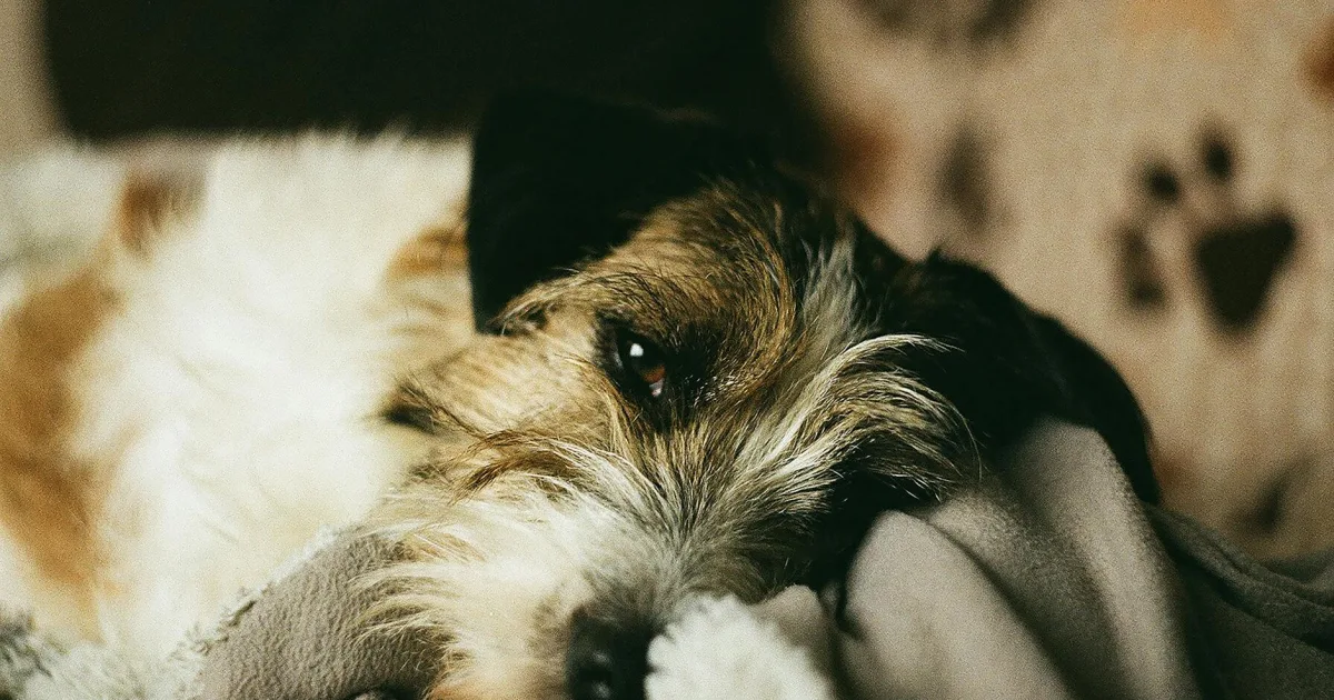 Downtown Russell, MA, MA