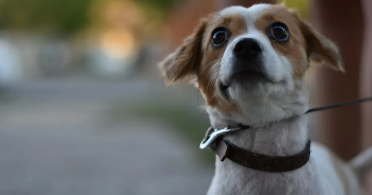 Downtown Russell, PA, PA