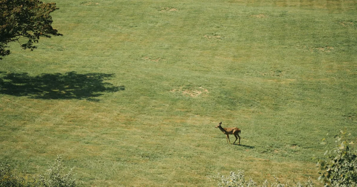 Downtown Rutland, OH, OH