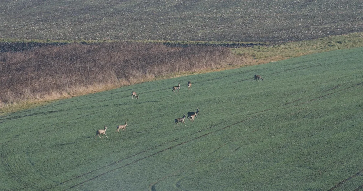 Downtown Rutland, VT, VT