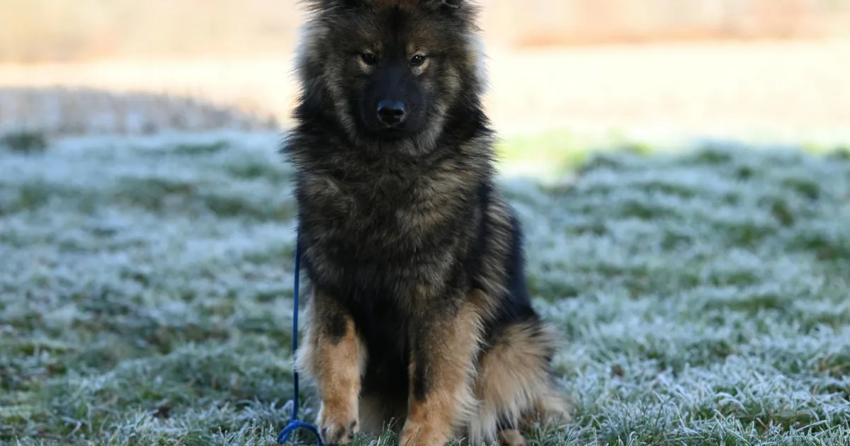 Downtown Sable Chase, LA, LA