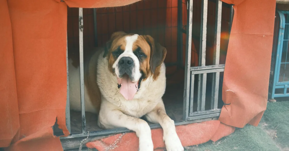 Downtown Saint Bernard, OH, OH