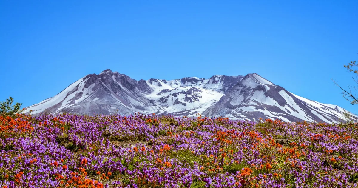 Downtown Saint Helens, OR, OR