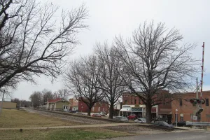 city in Phelps County, Missouri, United States