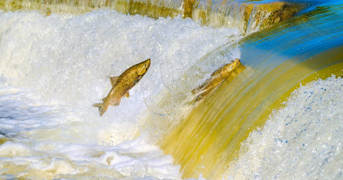 Downtown Salmon Brook, CT, CT