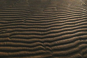 Downtown Sand Cut, AL, AL