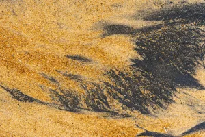 Downtown Sand Springs, OK, OK