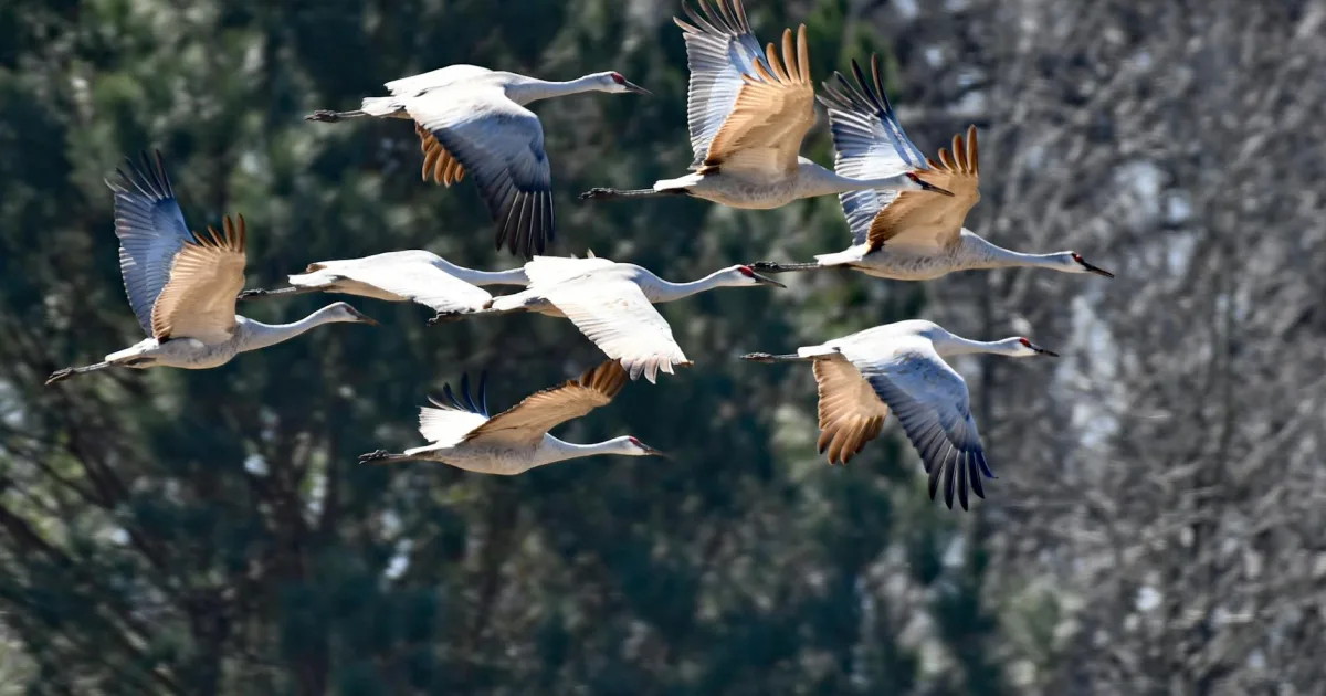 Downtown Sandhill, TN, TN