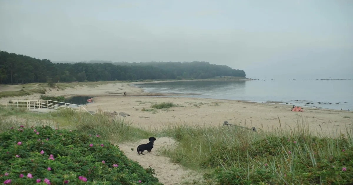 Downtown Sands, MI, MI