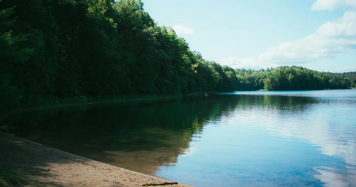 Downtown Sandy Lake, PA, PA