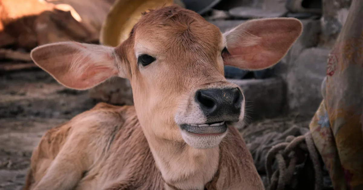 Downtown Santaquin, UT, UT