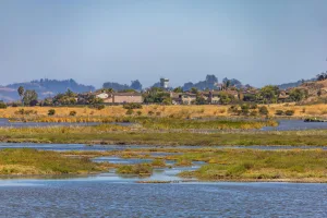 Downtown Santee, CA, CA