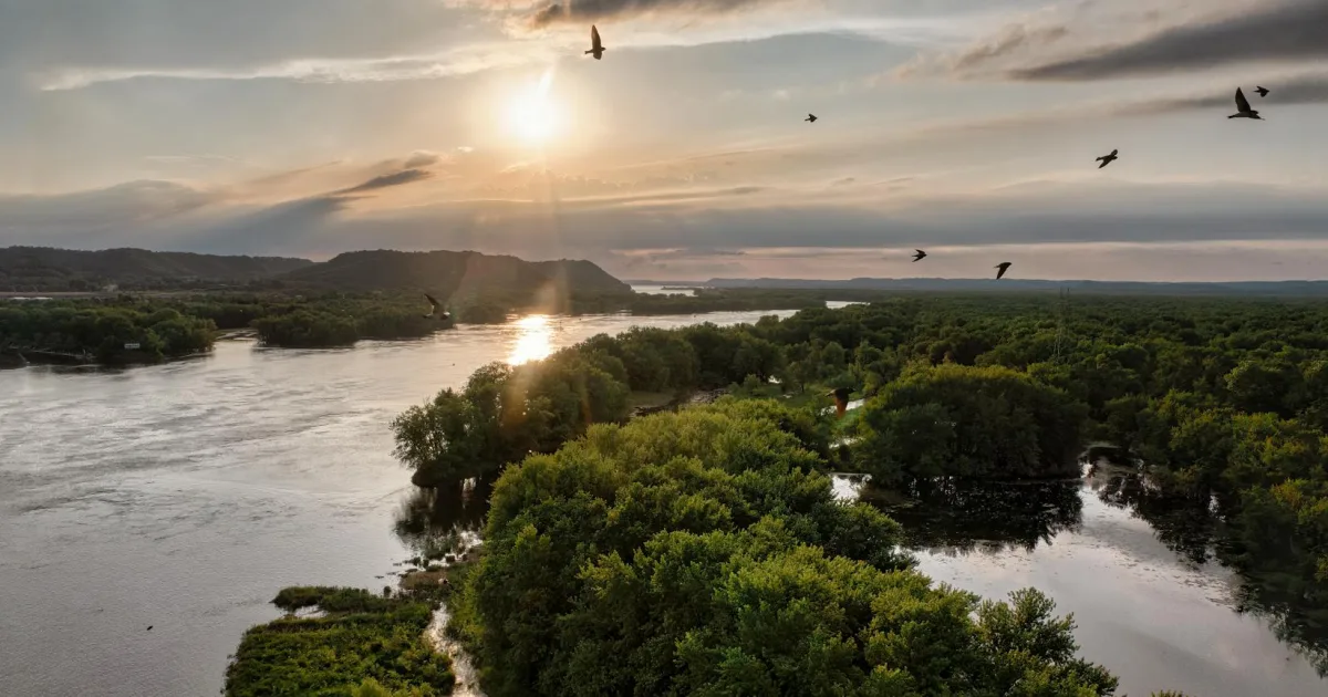 Downtown Savage, MN, MN