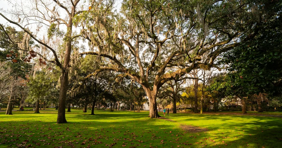 Downtown Savannah, GA, GA