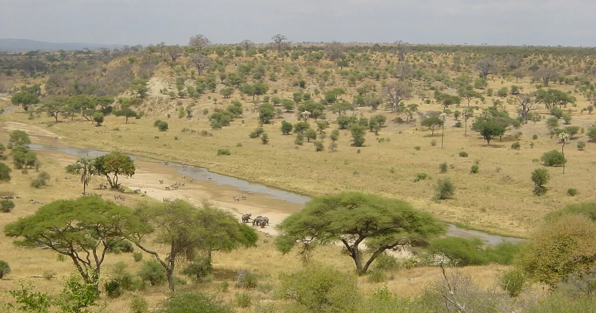 mixed woodland-grassland ecosystem