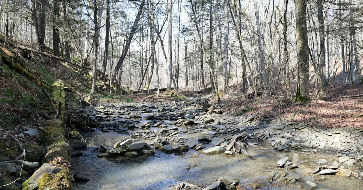 Downtown Saw Creek, PA, PA